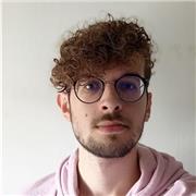 Professeur anglais étudiant, propose cours, tutorat ou soutien en anglais